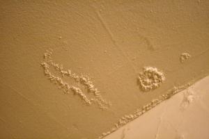 Ethan Magoc photo: Mold creeps up a ceiling in an apartment at 3938 Lewis. Maintenance workers painted over the mold last week to try to give a quick fix to a more serious problem.